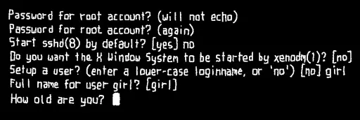 OpenBSD installation script prompts for the user's age.