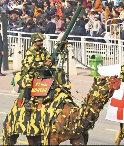 Mortar Camel