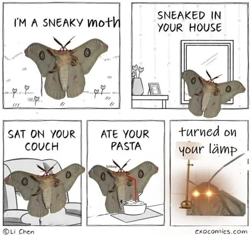 Bright poetry